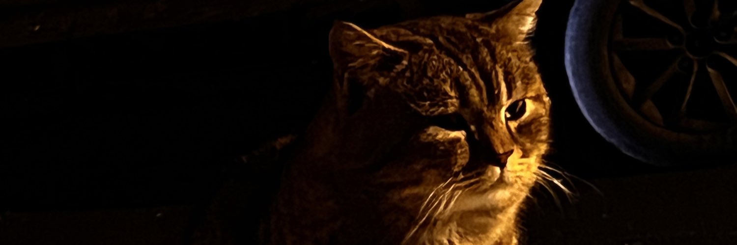codeisvalid's profile banner image
