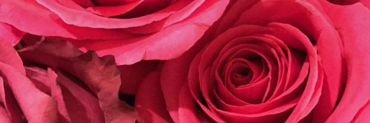 Nmuhalhal1's profile banner image