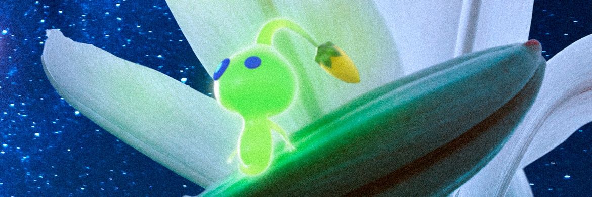 pochikprk's profile banner image