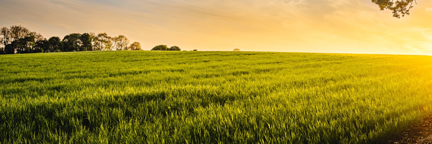 PostBio's profile banner image