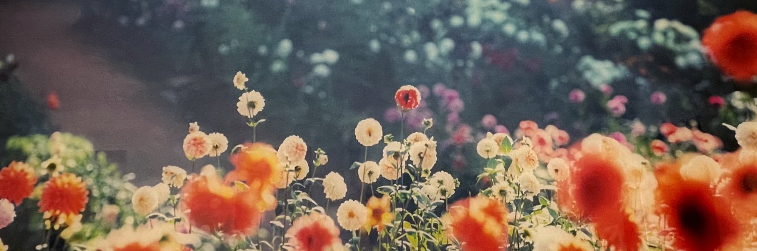 DigtterYan's profile banner image