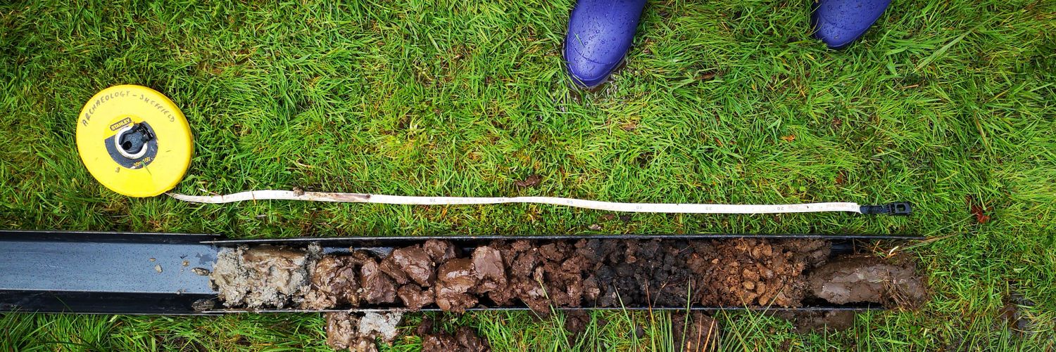Association for Environmental Archaeology banner