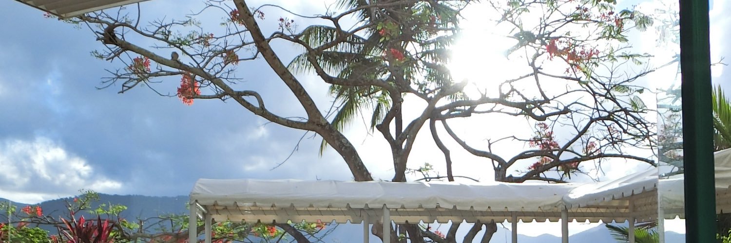 ariai93's profile banner image