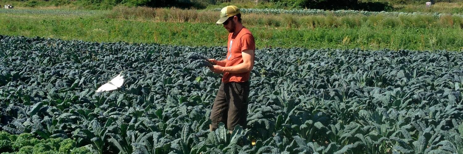 Local Roots Farm banner