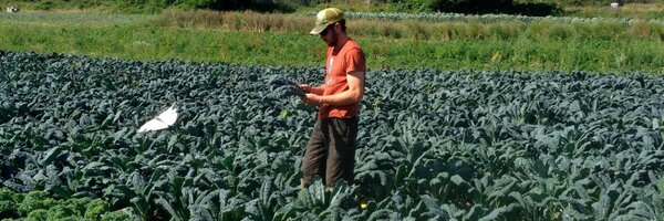 LocalRootsFarm Profile Banner