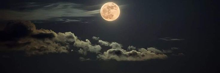 🐻🧜‍♀️‏‎↜↜𝑸𝑼𝑬𝑬𝑵ོོ...𝄞❤︎ banner