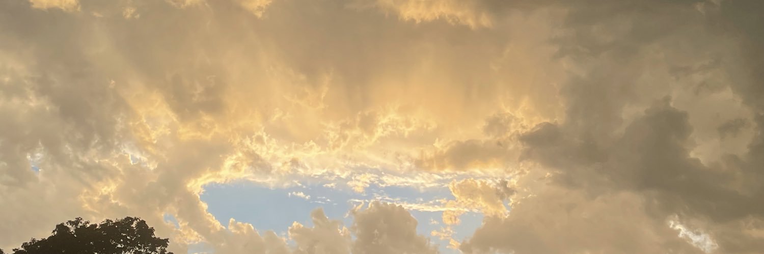 sharimi's profile banner image