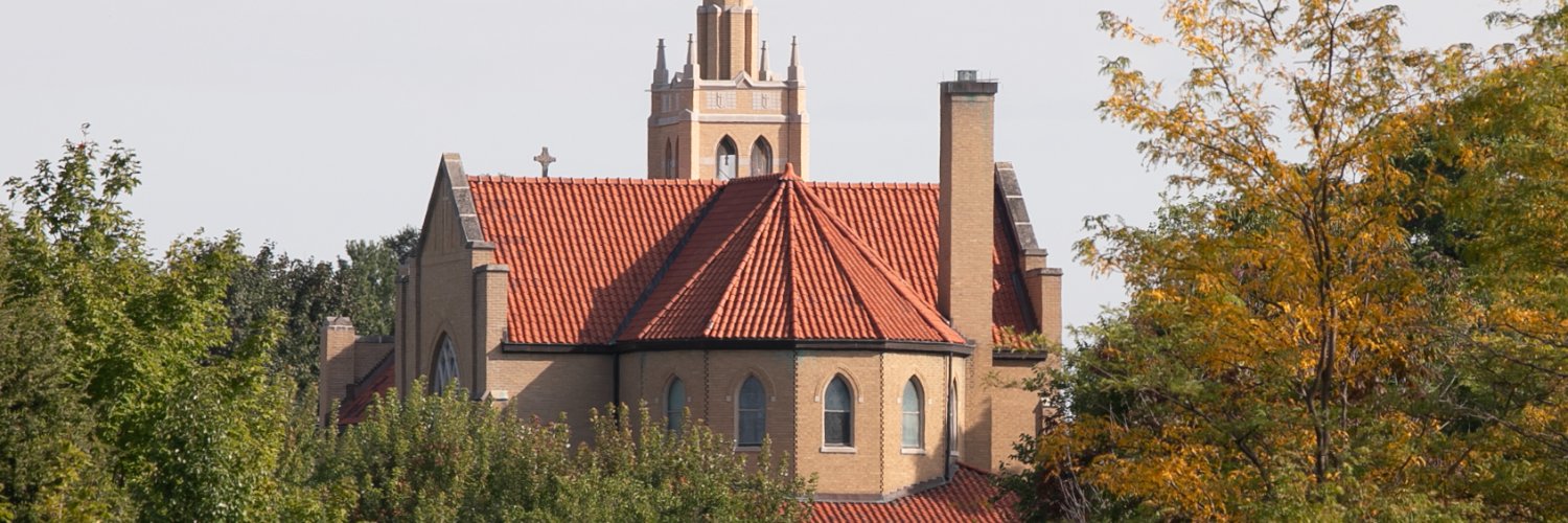StPeterVolo's profile banner image