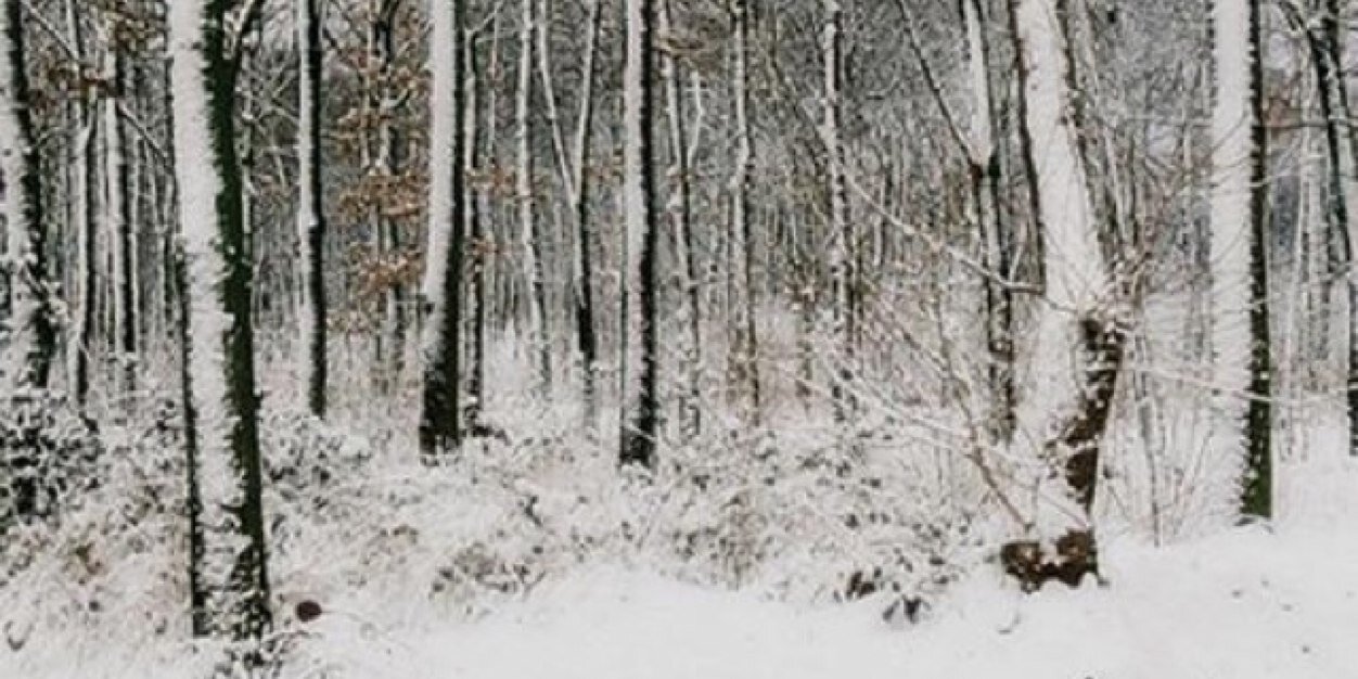 xcithesaga's profile banner image
