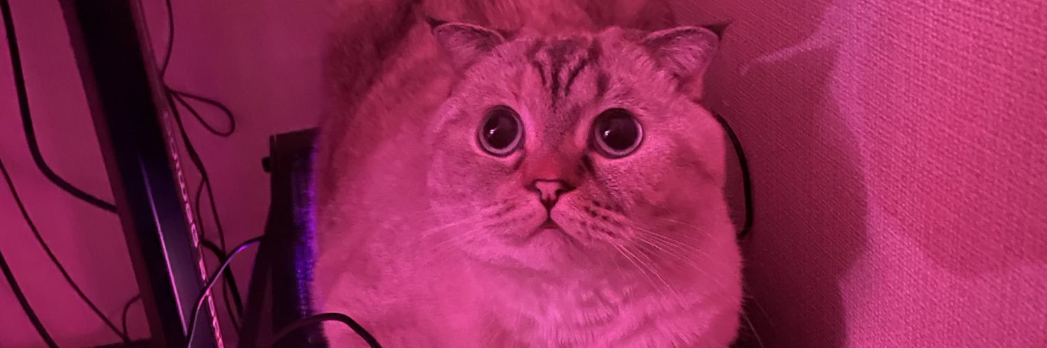 deyeeka's profile banner image