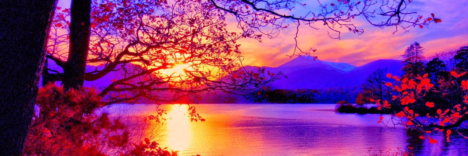 shriti93's profile banner image
