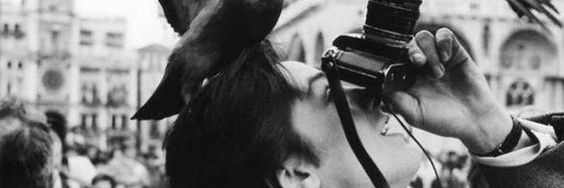 Señorita Carmen 🐝😷 banner