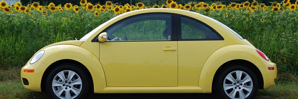 MySunBug's profile banner image