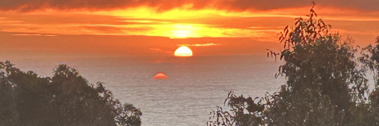 Sobreviviente del borracho banner