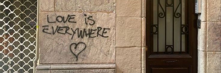 ş banner