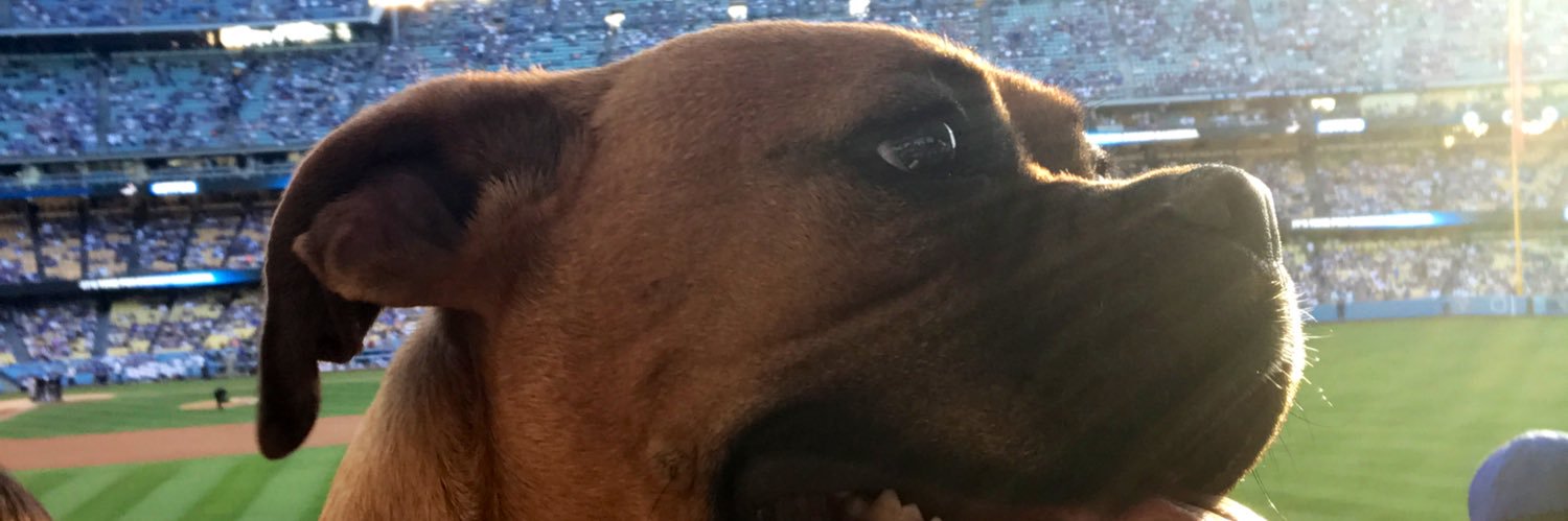 JanSaid's profile banner image