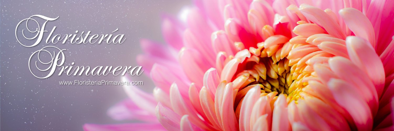 florprimavera's profile banner image