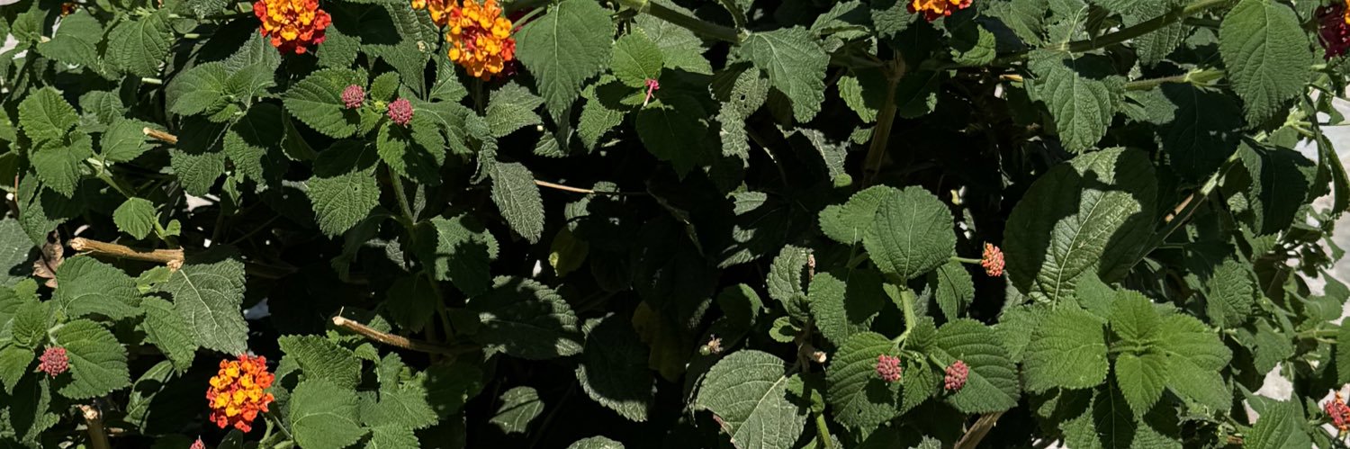 sptrz3's profile banner image