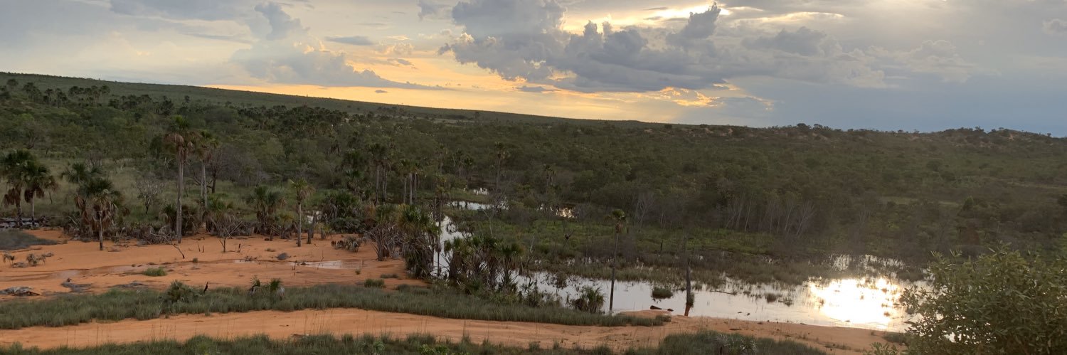 Gilberto Gomes banner