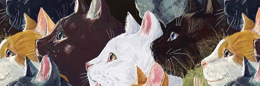 DrEthohq's profile banner image