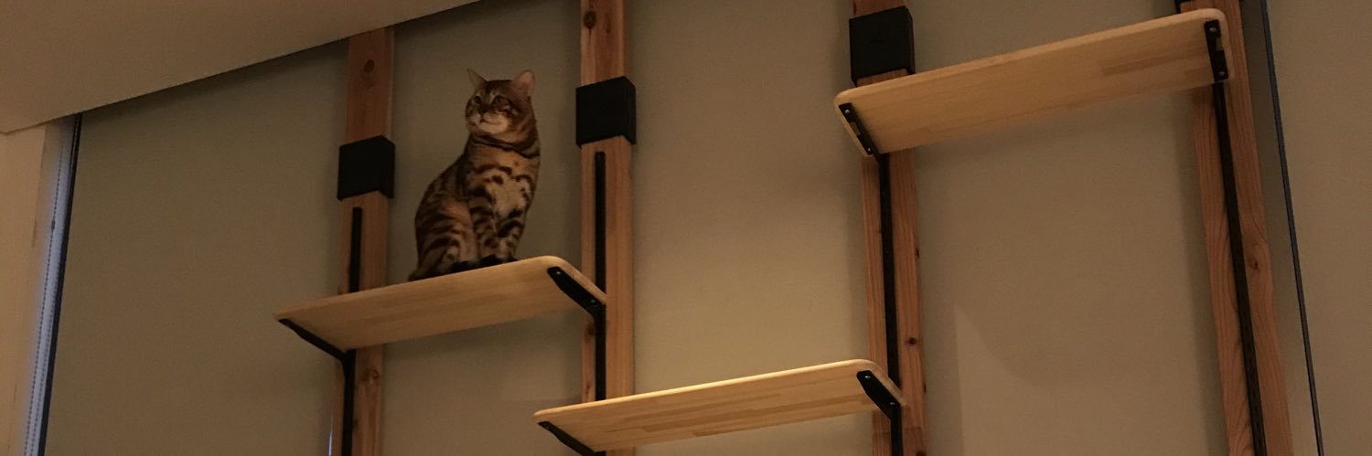 everydayclimber's profile banner image