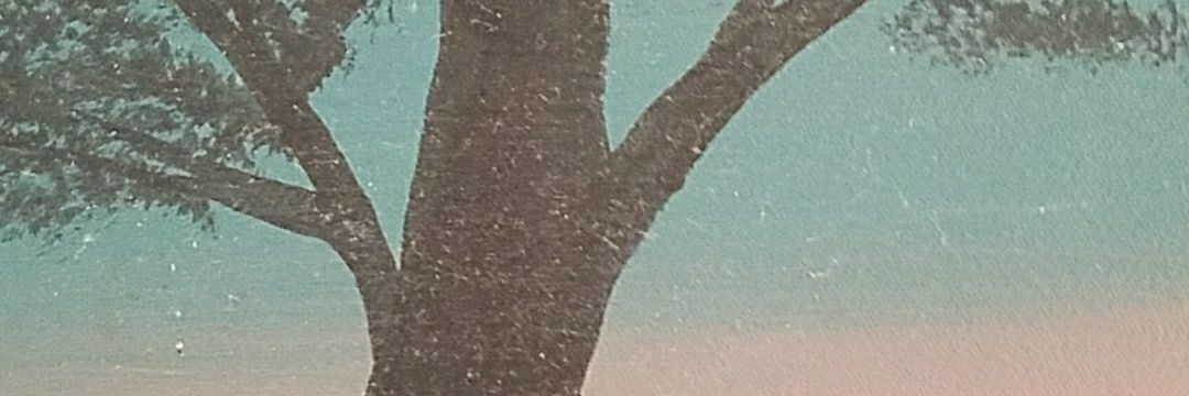 elfren18's profile banner image