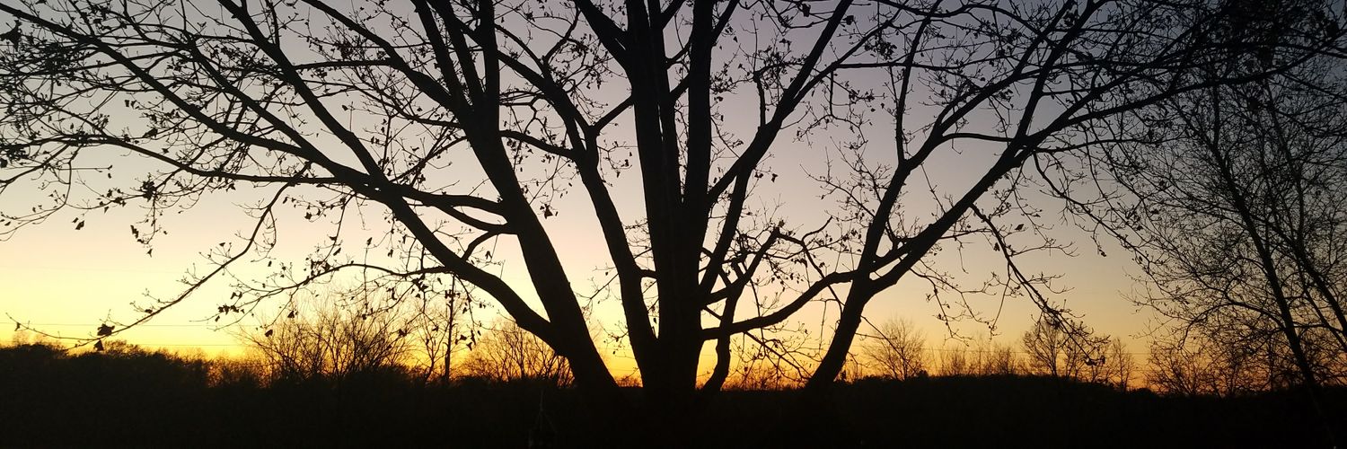 casfredrick27's profile banner image