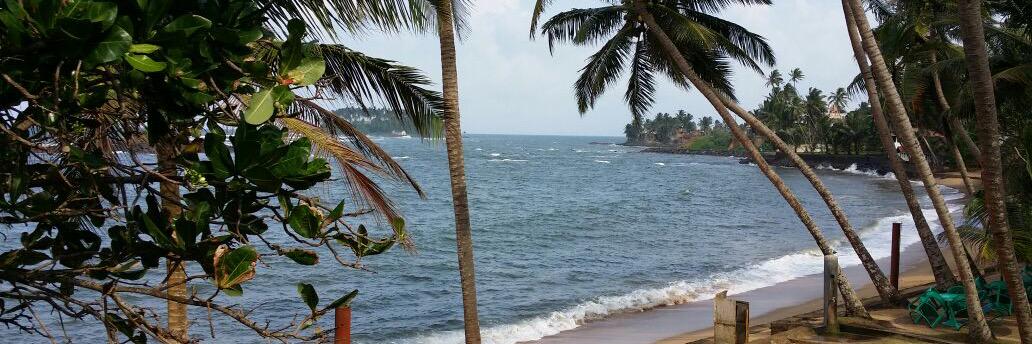 Prof.Majda Gharieb🥰 banner