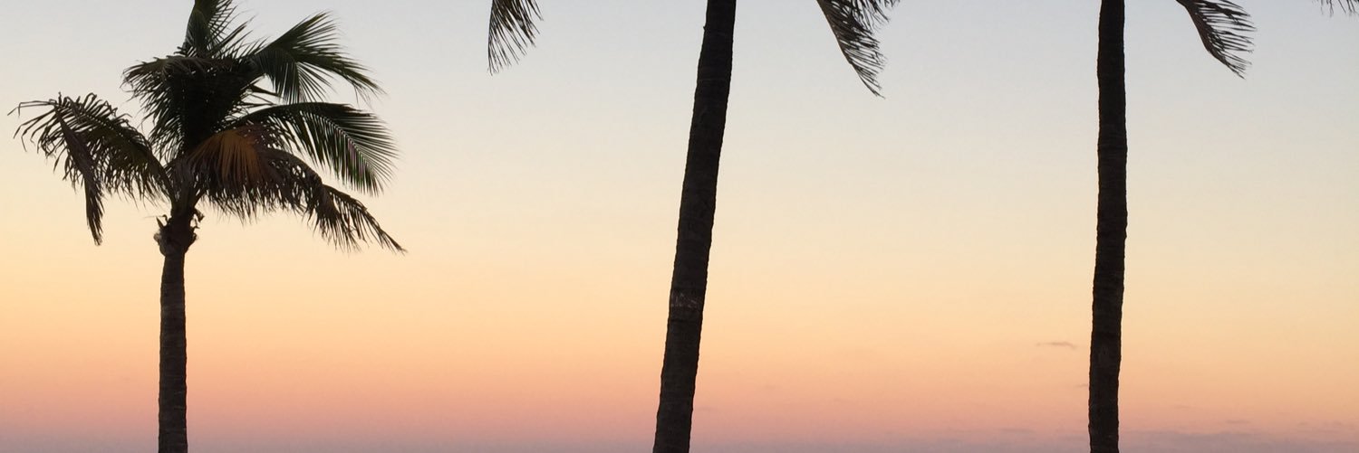 Pilarfus's profile banner image