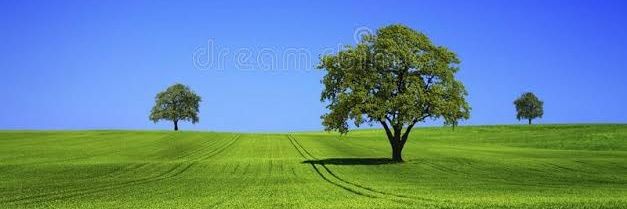 ranielcdss's profile banner image