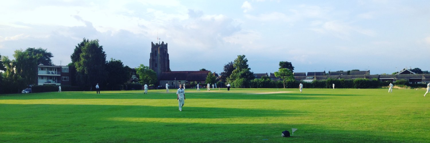 Ingatestone & Fryerning Cricket Club banner
