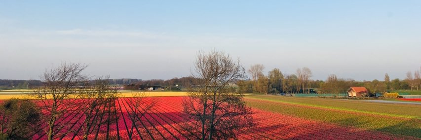 fvdv17's profile banner image