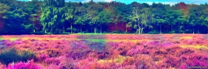 Tania_MM's profile banner image