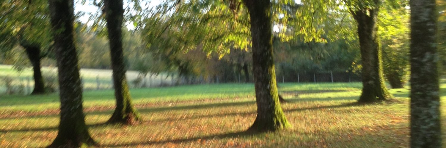 chatandeau's profile banner image
