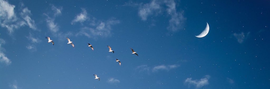 huda6_6's profile banner image