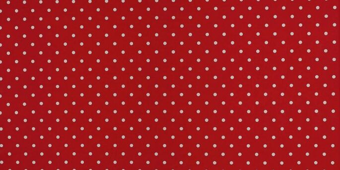 MisCarolas's profile banner image