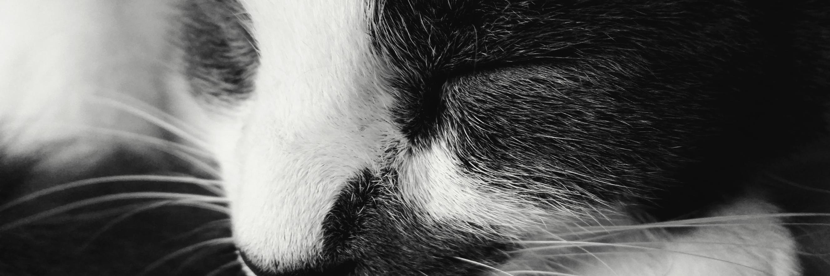 mhgreer's profile banner image