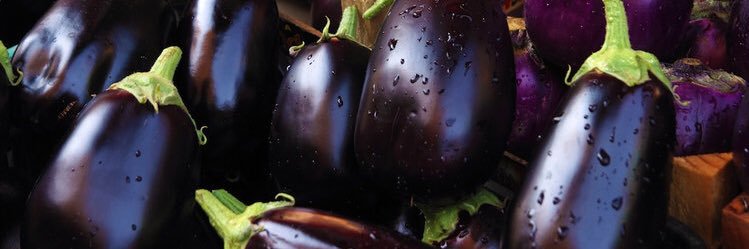 CaterpillarⓋ🌱 banner