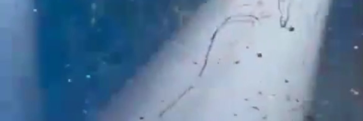 aehhyn banner