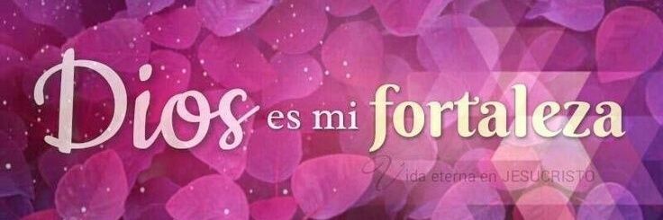 SaloChavez's profile banner image