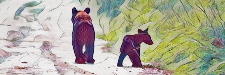 LauraHolst's profile banner image