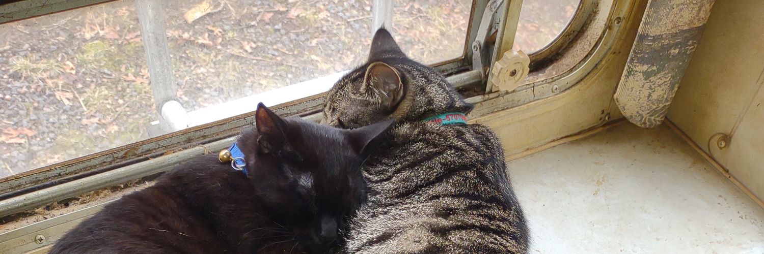 Catiana101's profile banner image