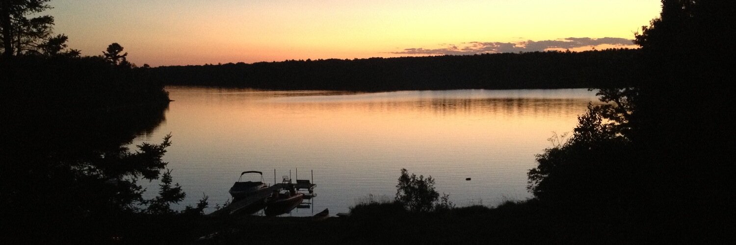 Michael Olson banner