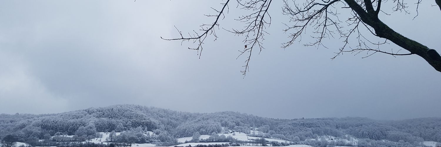 LauraRling's profile banner image