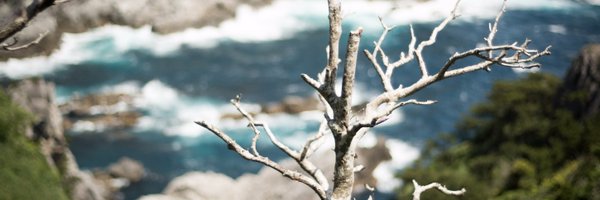 goando Profile Banner