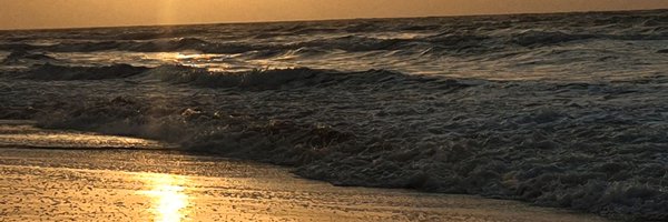 NewMagis Profile Banner