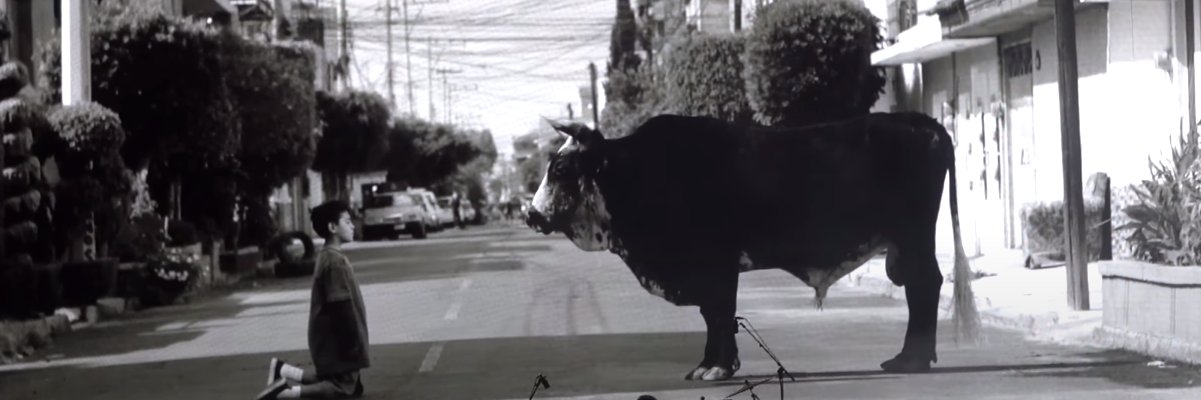 MarcolaREB's profile banner image