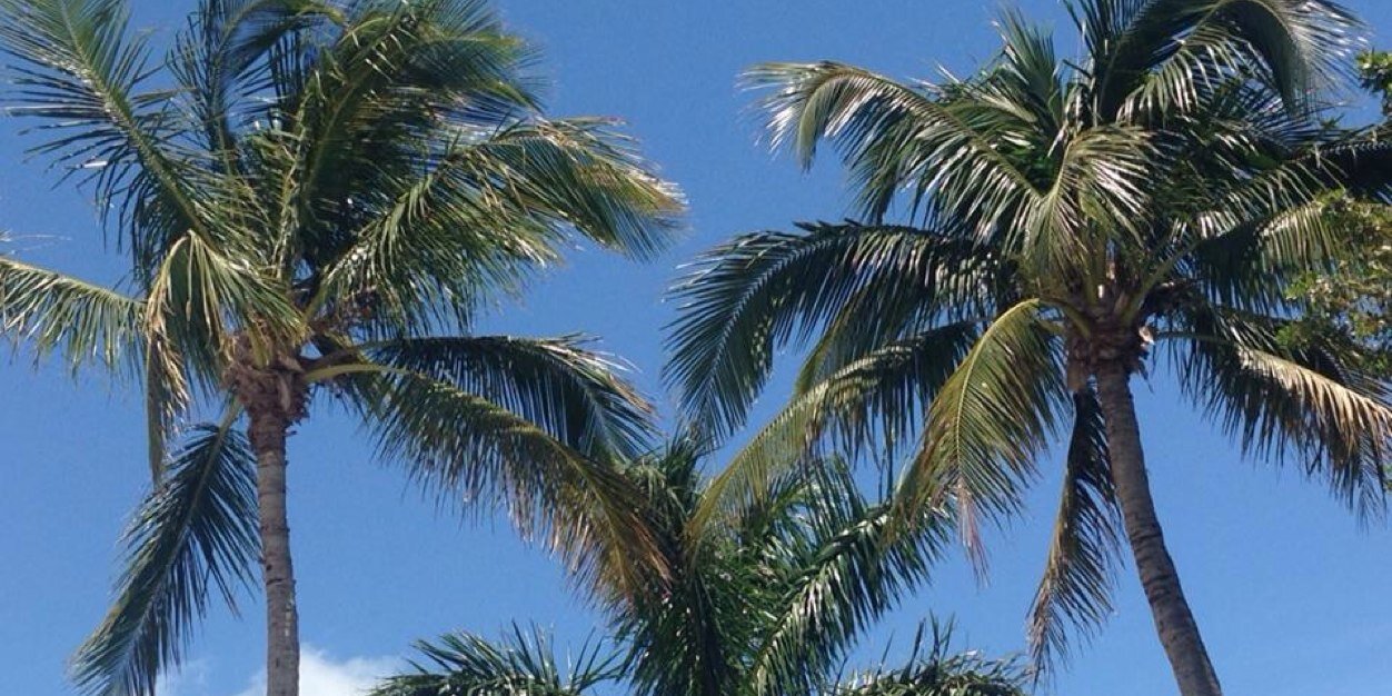 Frank Lucchese banner