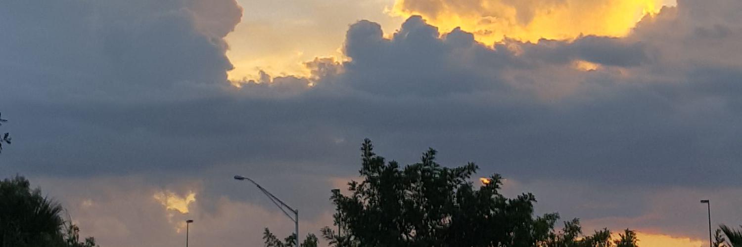 CulpepperMimi's profile banner image