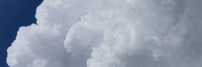 Bernice Sykes, PhD (Doc Bunny)🕊️❤️🤍💙🕊️ banner